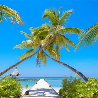 尊龙AG旗舰厅app下载