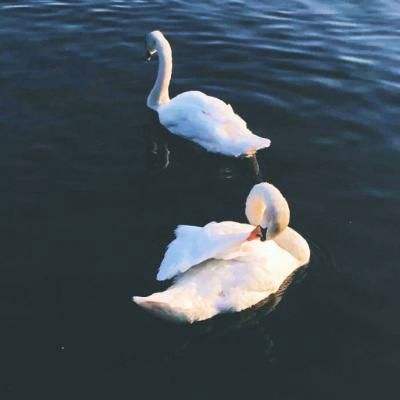 leyu·乐鱼(中国)体育官方网站app下载