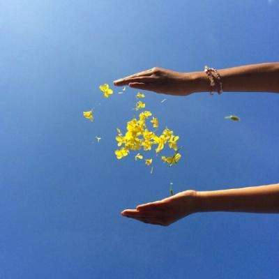 星空下载站官网手机app下载