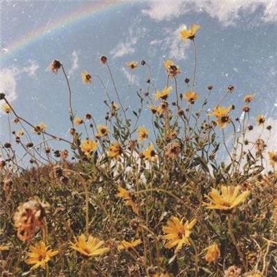 乐鱼app官网正式版下载手机app下载