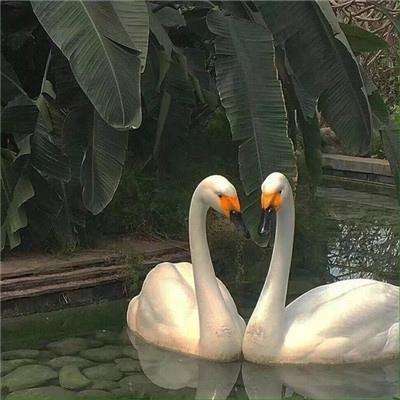 新万博ManBetX全站