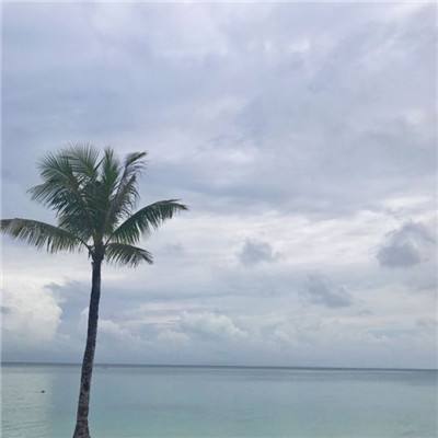 江南体育下载手机版