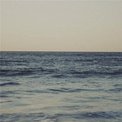 半岛综合下周截图